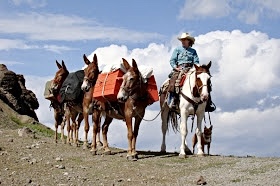 Exploring Women’s Roles in the West