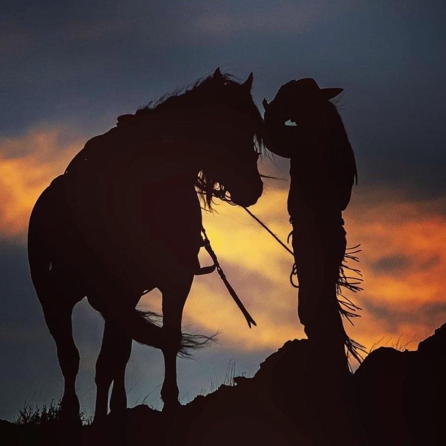 Embracing the Cowgirl Identity